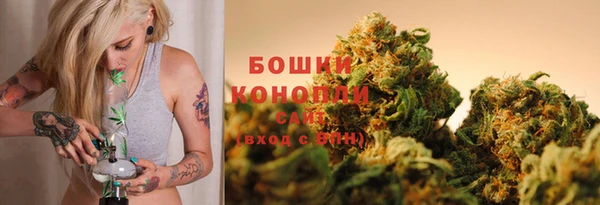 PSILOCYBIN Белоозёрский