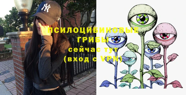 PSILOCYBIN Белоозёрский