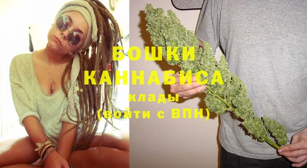 PSILOCYBIN Белоозёрский