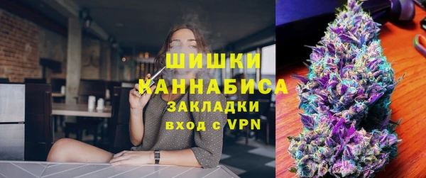 прущие грибы Каменногорск
